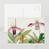 Cypripedium door Tanigami Konan Briefkaart (Voorkant / Achterkant)
