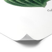 Cypripedium macranthos poster (Hoek)