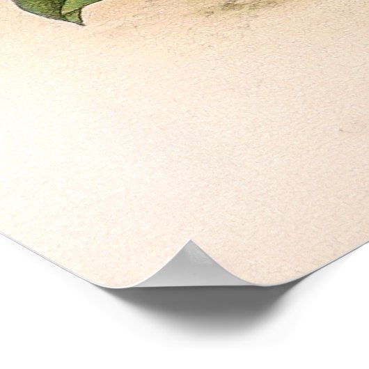  Cypripedium Orchidee Flower Poster (Hoek)