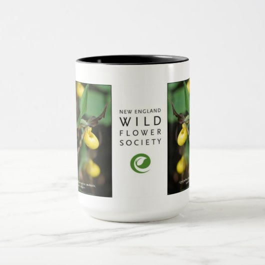 Cypripedium parviflorum, gele damesglijper mok (Midden)