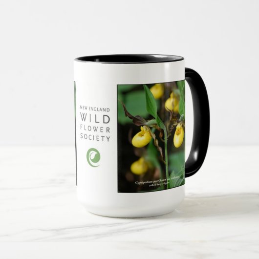 Cypripedium parviflorum, gele damesglijper mok (Voorkant rechts)