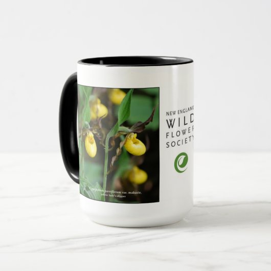 Cypripedium parviflorum, gele damesglijper mok (Voorkant links)