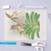 Cypripedium Praestans (Orchideeën) van Jean Linden Tissuepapier