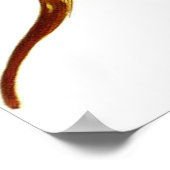  Cypripedium Stonei Orchidee Flower Poster (Hoek)