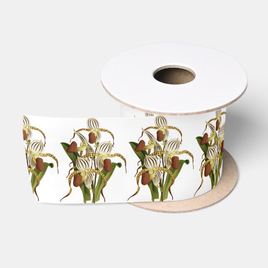 Cypripedium Stonei Orchidee Flower Satijnen Lint (Spoel)