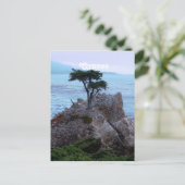 Cyprus Briefkaart (Staand voorkant)