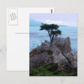 Cyprus Briefkaart (Voorkant / Achterkant)