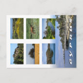 Cyprus briefkaart (Voorkant)