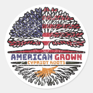 Cyprus Cyprus Cypriote Amerikaans-Amerikaanse Vere Ronde Sticker