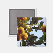 Cyprus Lemon Grove Magneet (Voorkant / Achterkant)