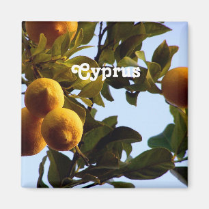 Cyprus Lemon Grove Magneet