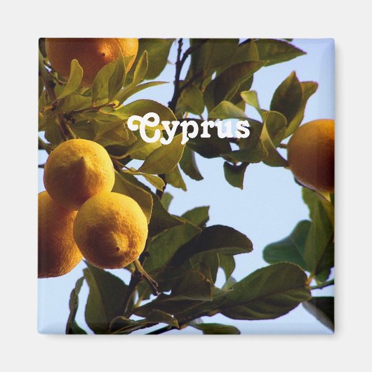 Cyprus Lemon Grove Magneet (Voorkant)