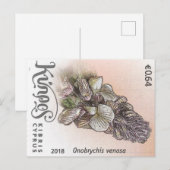 Cyprus nature stamp flower spring flowers purple briefkaart (Voorkant / Achterkant)