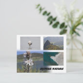 Cyprus natuur Briefkaart (Staand voorkant)