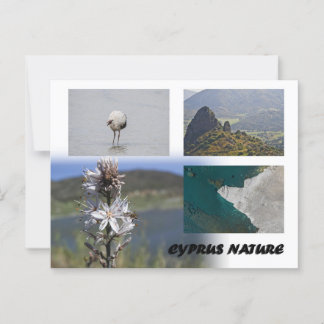 Cyprus natuur Briefkaart