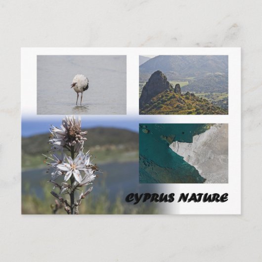 Cyprus natuur Briefkaart (Voorkant)