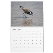 Cyprus natuur Kalender (Mar 2027)