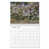 Cyprus natuur Kalender (Feb 2027)