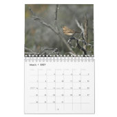Cyprus natuur Kalender (Mar 2027)