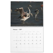 Cyprus natuur Kalender (Feb 2027)