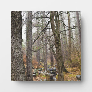 Cyprus natuur landschap Troodos bos bruine bomen Fotoplaat
