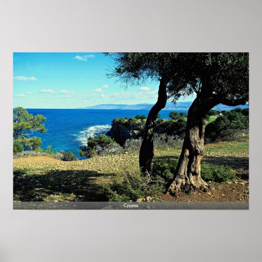 Cyprus Poster (Voorkant)