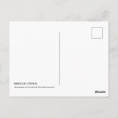 Cyprus vogels briefkaart (Achterkant)