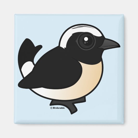 Cyprus Wheatear Magneet (Voorkant)