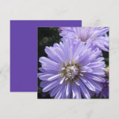 Cyreen (Voorkant / Achterkant)