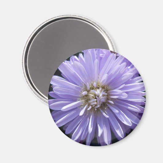 Cyreen Magneet (Voorkant / Achterkant)