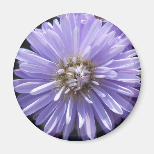 Cyreen Magneet (Voorkant)