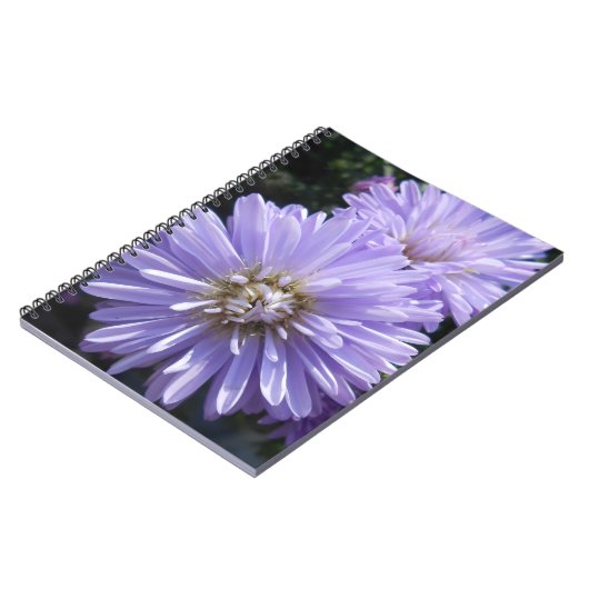 Cyreen Notitieboek (Linkerzijde)