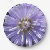 Cyreen Papieren Bordje (Voorkant)