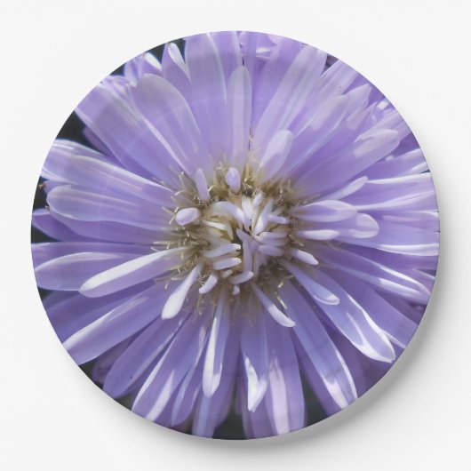 Cyreen Papieren Bordje (Voorkant)