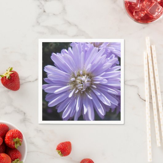 Cyreen Servet (Insitu)