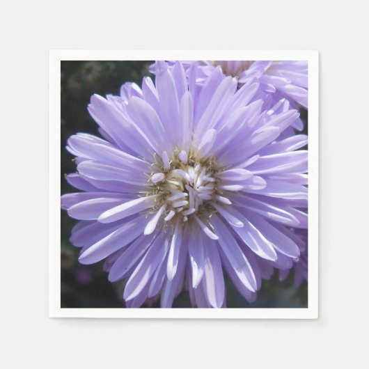 Cyreen Servet (Voorkant)