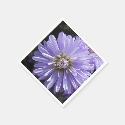 Cyreen Servet (Hoek)