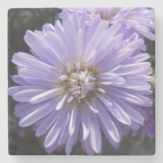 Cyreen Stenen Onderzetter (Voorkant)