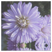 Cyreen Stof (Close Up)