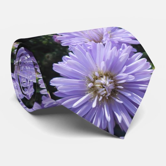 Cyreen Stropdas (Opgerold)