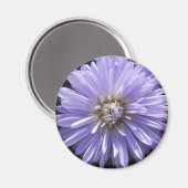 Cyrene Magneet (Voorkant / Achterkant)