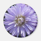 Cyrene Magneet (Voorkant)