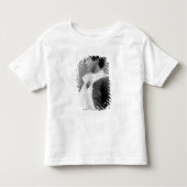 Cyril Wilde, c.1890 Kinder Shirts (Voorkant)