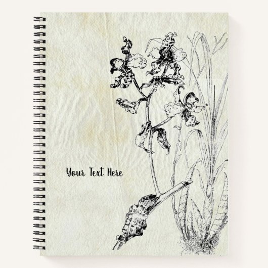 Cyrtopodium punctatum Orchidee Notebook Notitieboek (Voorkant)
