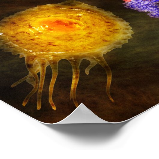 Cytokine-poster Poster (Hoek)