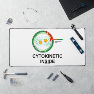 Cytokinetiek in Cytoplasmasector Mitose Bureaumat