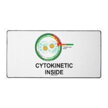 Cytokinetiek in Cytoplasmasector Mitose