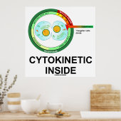 Cytokinetisch Inside (Cytoplasmadivisie Mitose) Poster (Keuken)