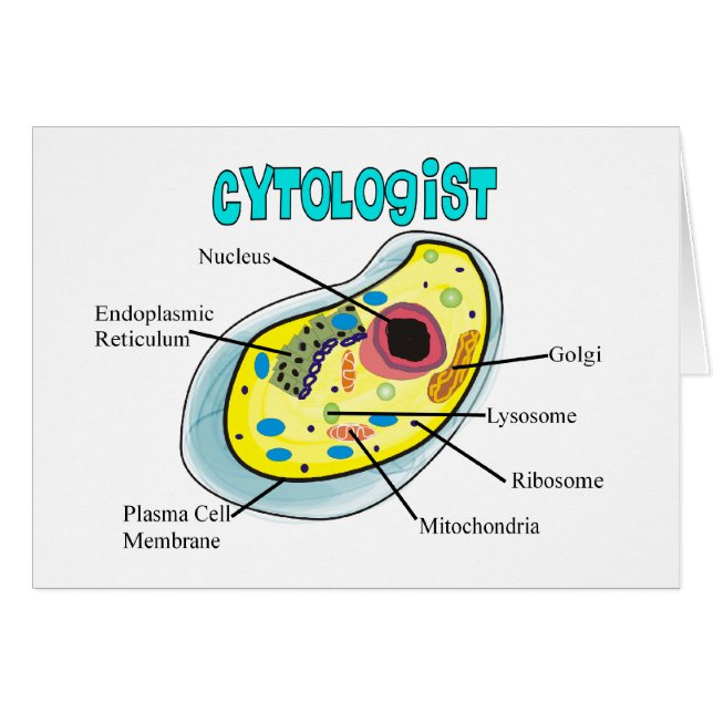 Cytoloog Human Cell Drawing Gifts (Voorkant Horizontaal)