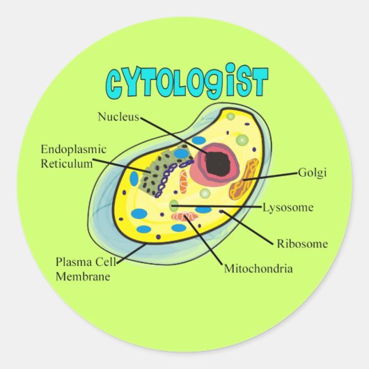 Cytoloog Human Cell Drawing Gifts Ronde Sticker (Voorkant)